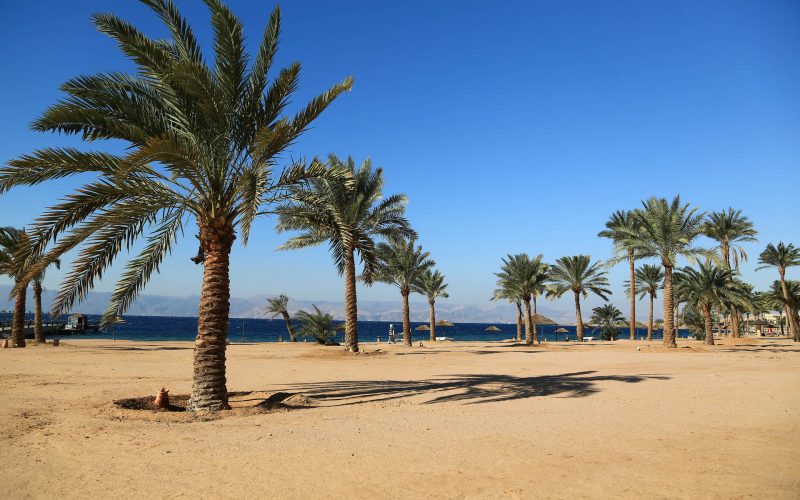 Palms on the beautiful beach. Tropical resort in Tala Bay, Hashemite Kingdom of Jordan. Red sea, gulf of Aqaba. View on Israel and Egypt